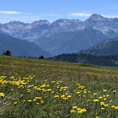 Casa Luzart Codirosso Stroppo