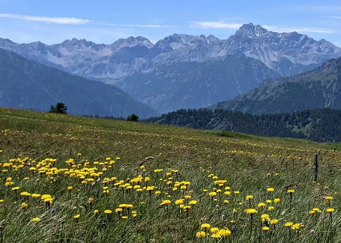 Casa Luzart Codirosso Stroppo